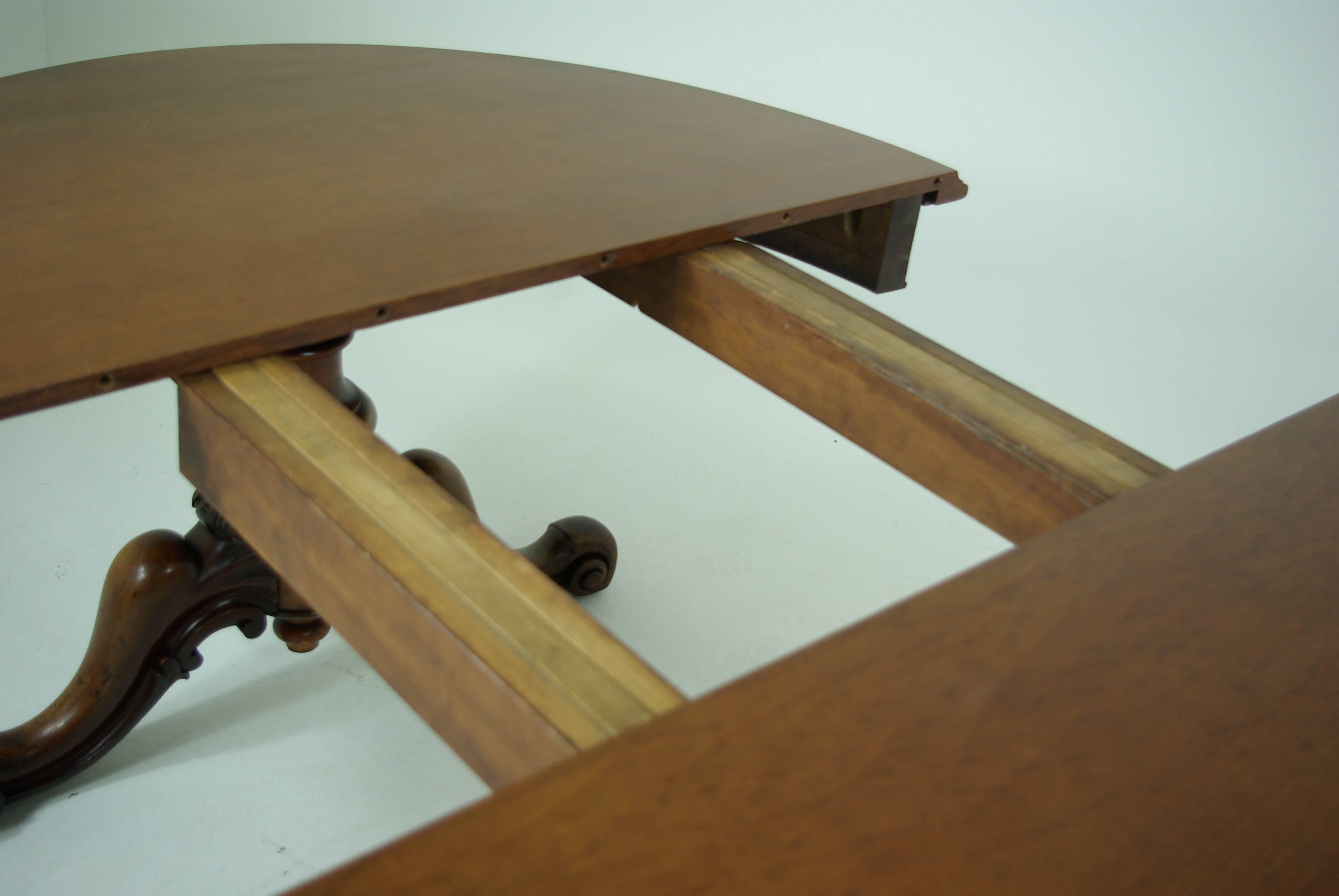 B305 Antique Scottish Oval Mahogany Dining Table, Carved Pedestals, 2 lg. Leaves In Excellent Condition In Vancouver, BC