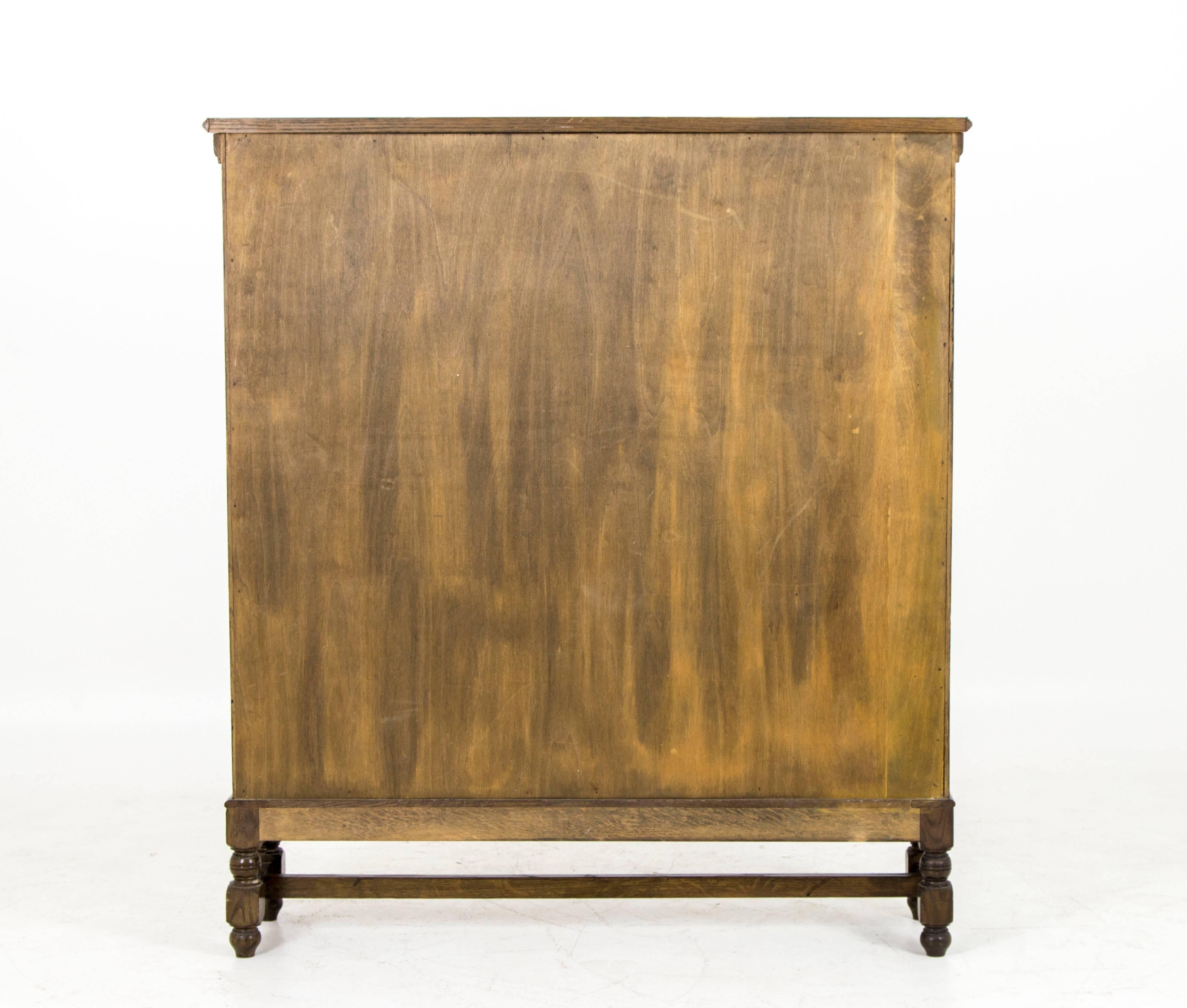 Antique Scottish Two-Door Oak Bookcase, Display Cabinet 5