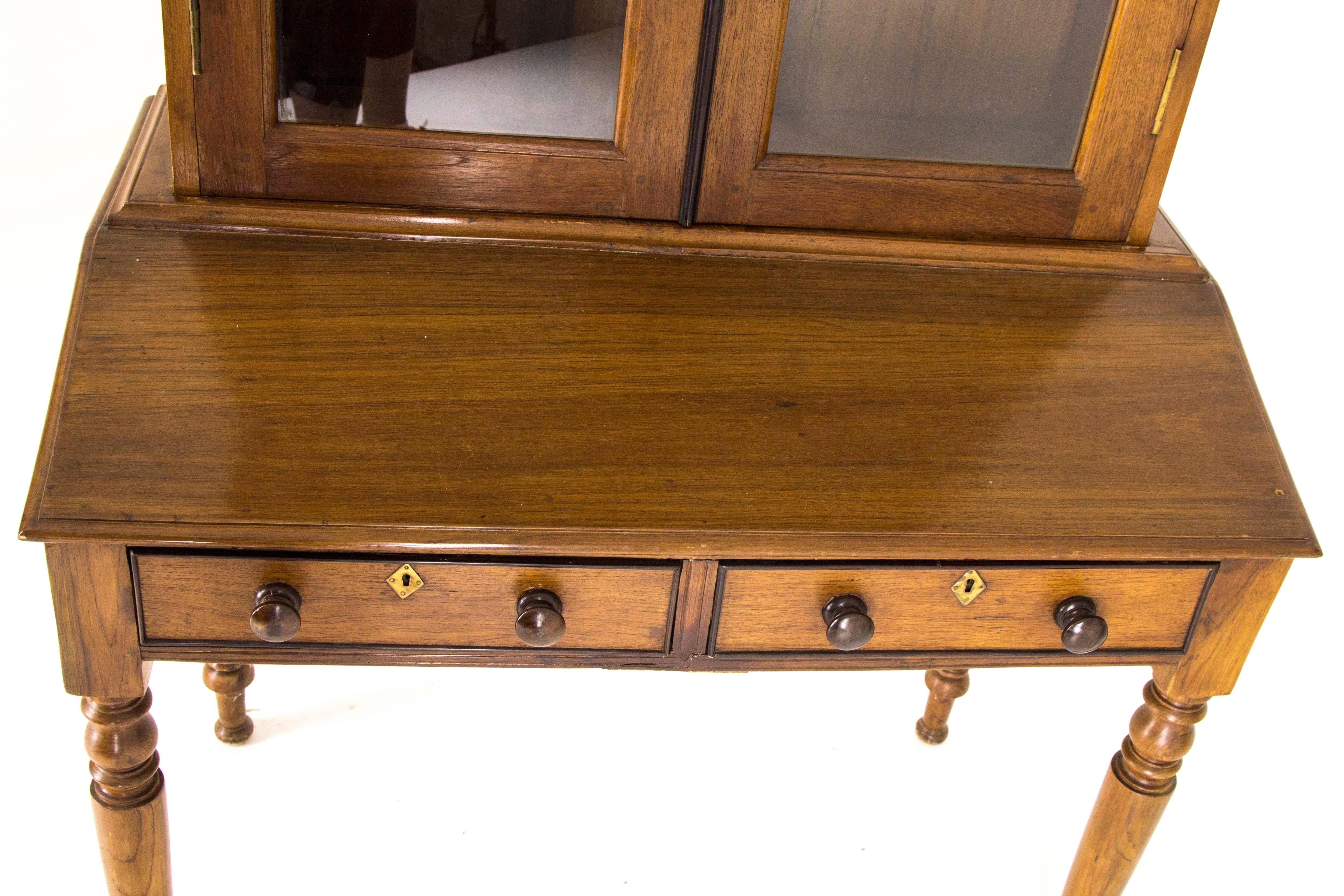Antique Cabinet Victorian Bookcase Walnut Slant Front Desk, Scotland 2