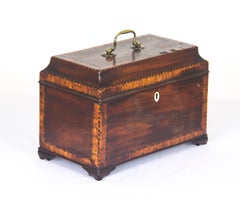 Antique Tea Caddy Mahogany Tea Caddy Georgian, Scotland, 1810