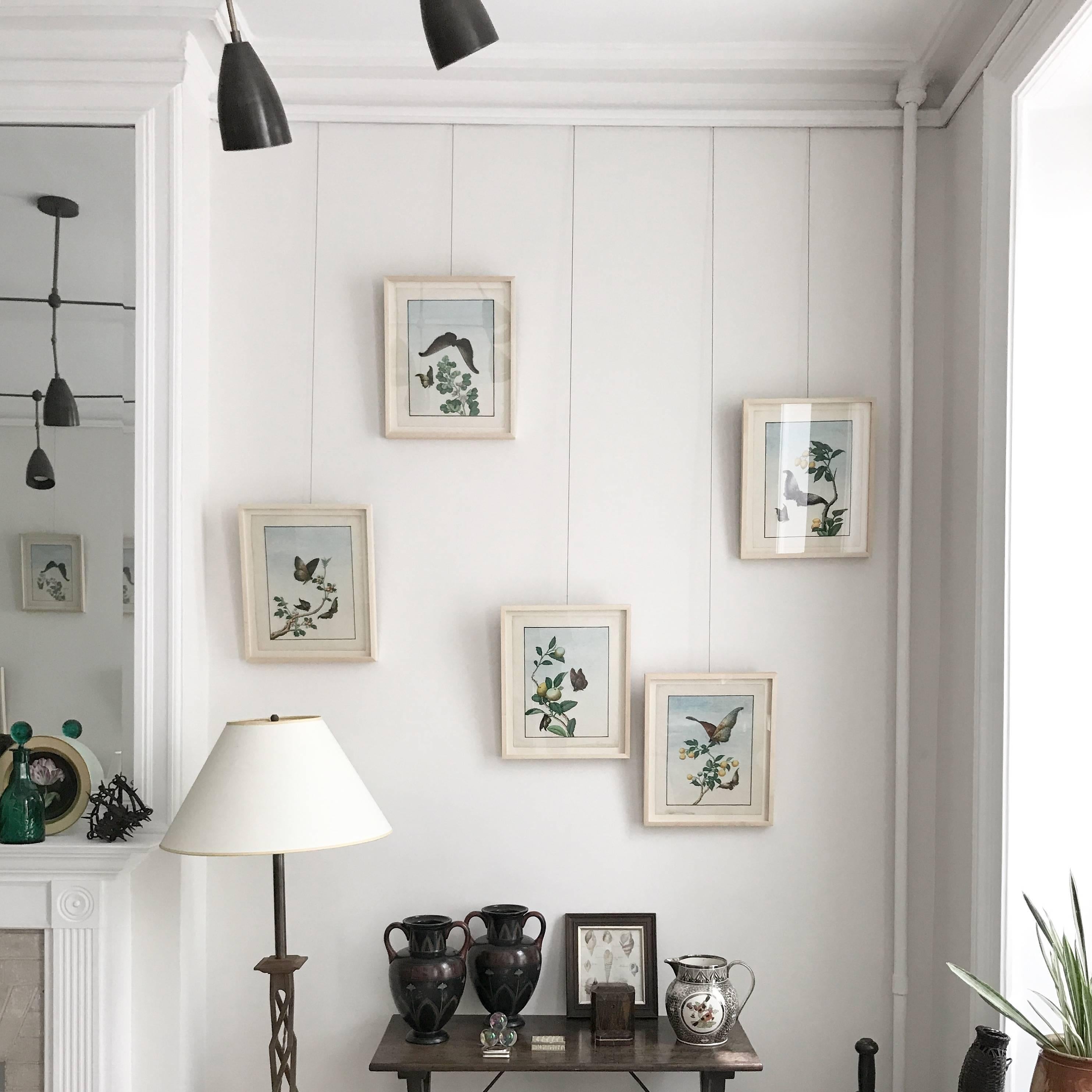 A set of nine Chinese Export botanical watercolors, each depicting butterflies and moths with botanical specimens and fruit. Bright, clear colors and very crisp detail. In contemporary wood frames.