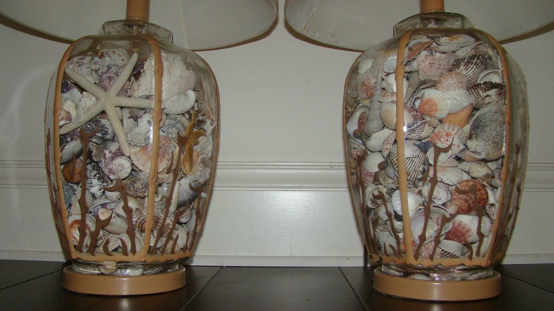 Pair of sea shell filled glass table lamps. Comprised of tons of sea shell and sea specimens sealed in a sculptural glass frame with decorated terracotta color details. Perfect for a beach house. They are rewired and ready to use complete with