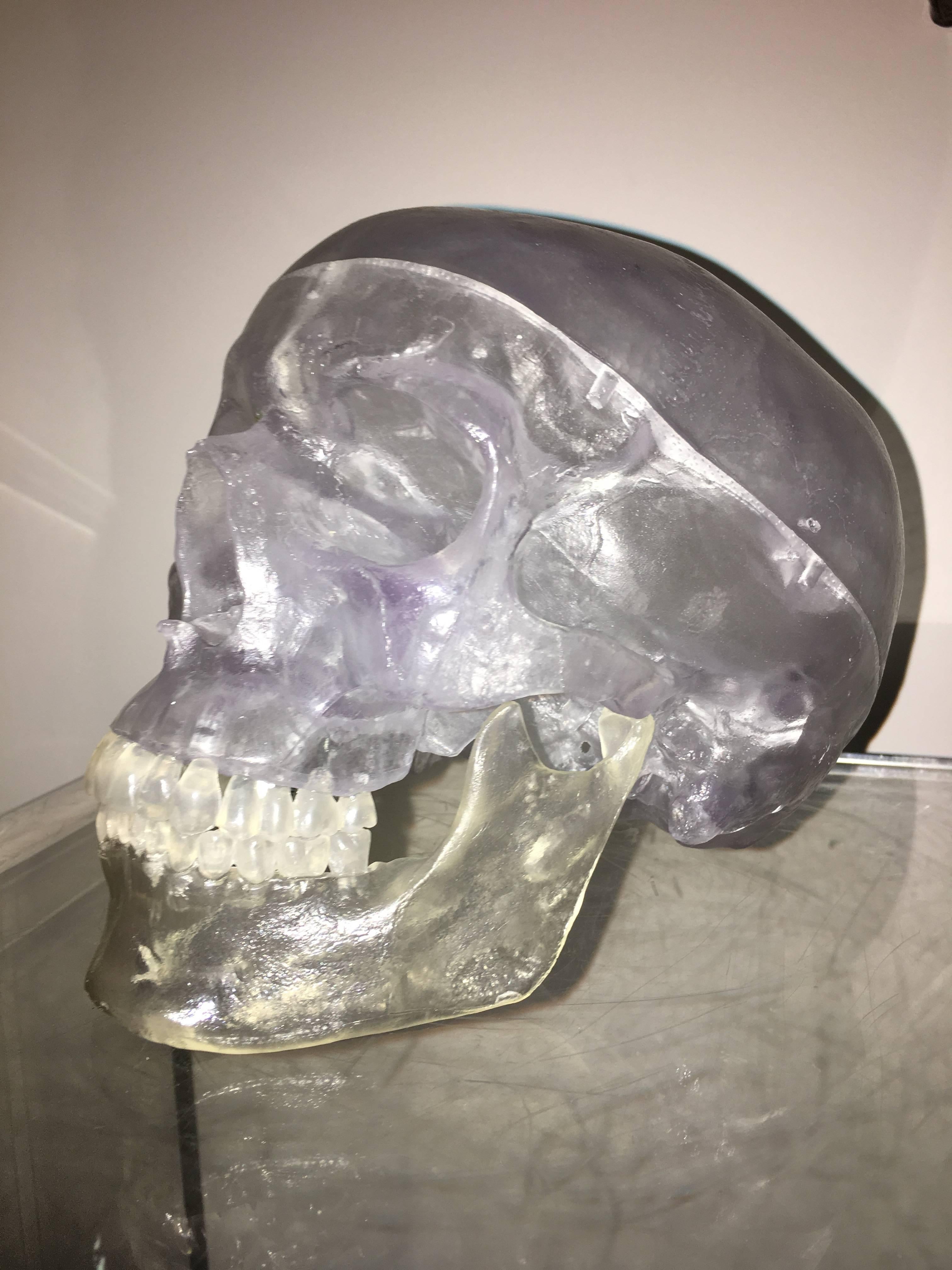 Terrific vintage acrylic skull table sculpture. This interesting piece is a full size human skull and comprised of a clear acrylic / Lucite. The mouth opens with a Hinge. Very unique piece for your desk or home.