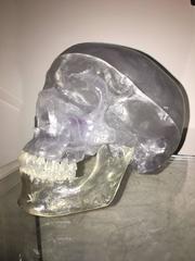 Acrylic Skull Mid-Century Lucite Sculpture