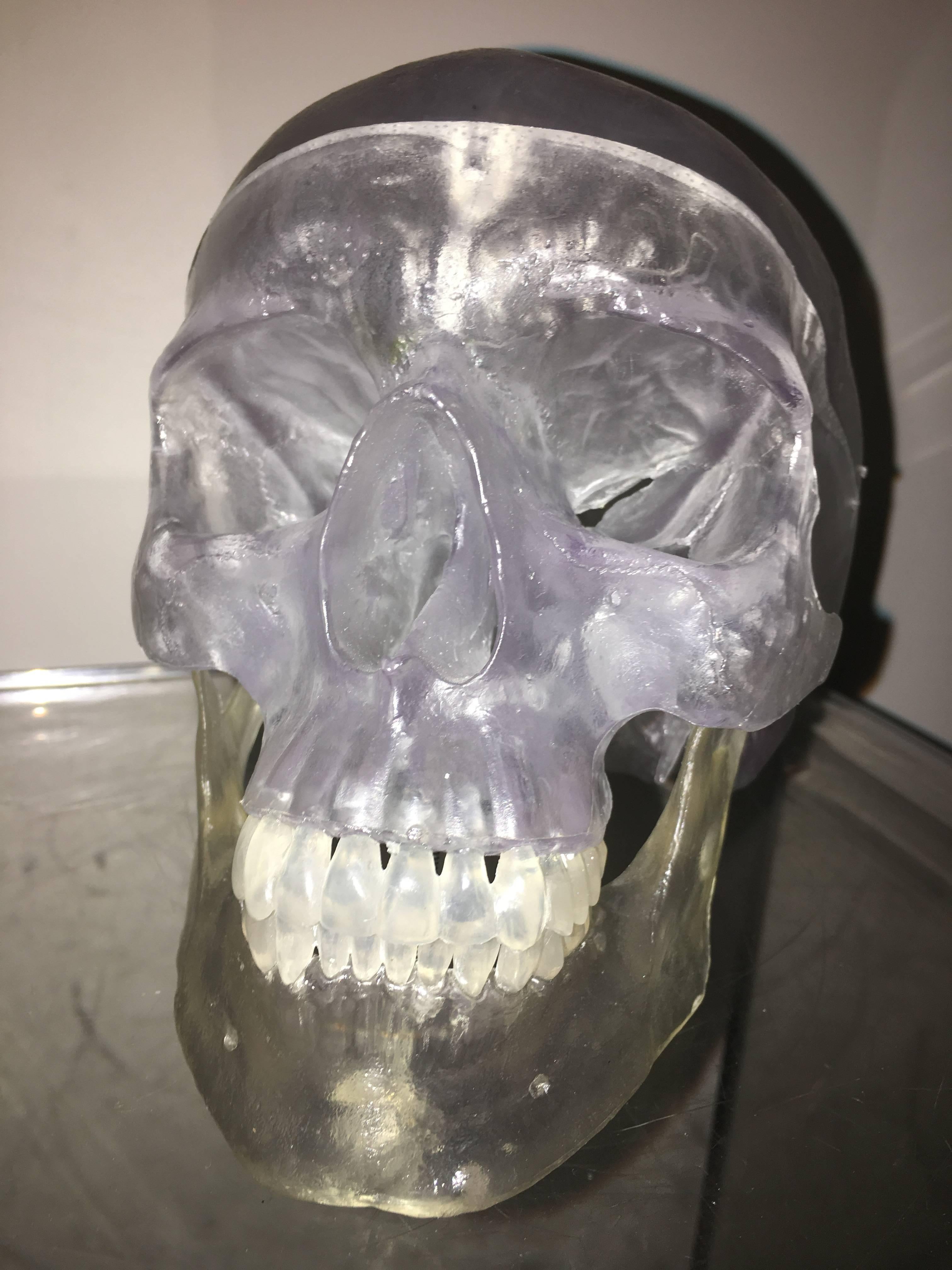 Mid-Century Modern Acrylic Skull Mid-Century Lucite Sculpture For Sale