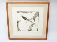 Francisco Toledo Original Prints