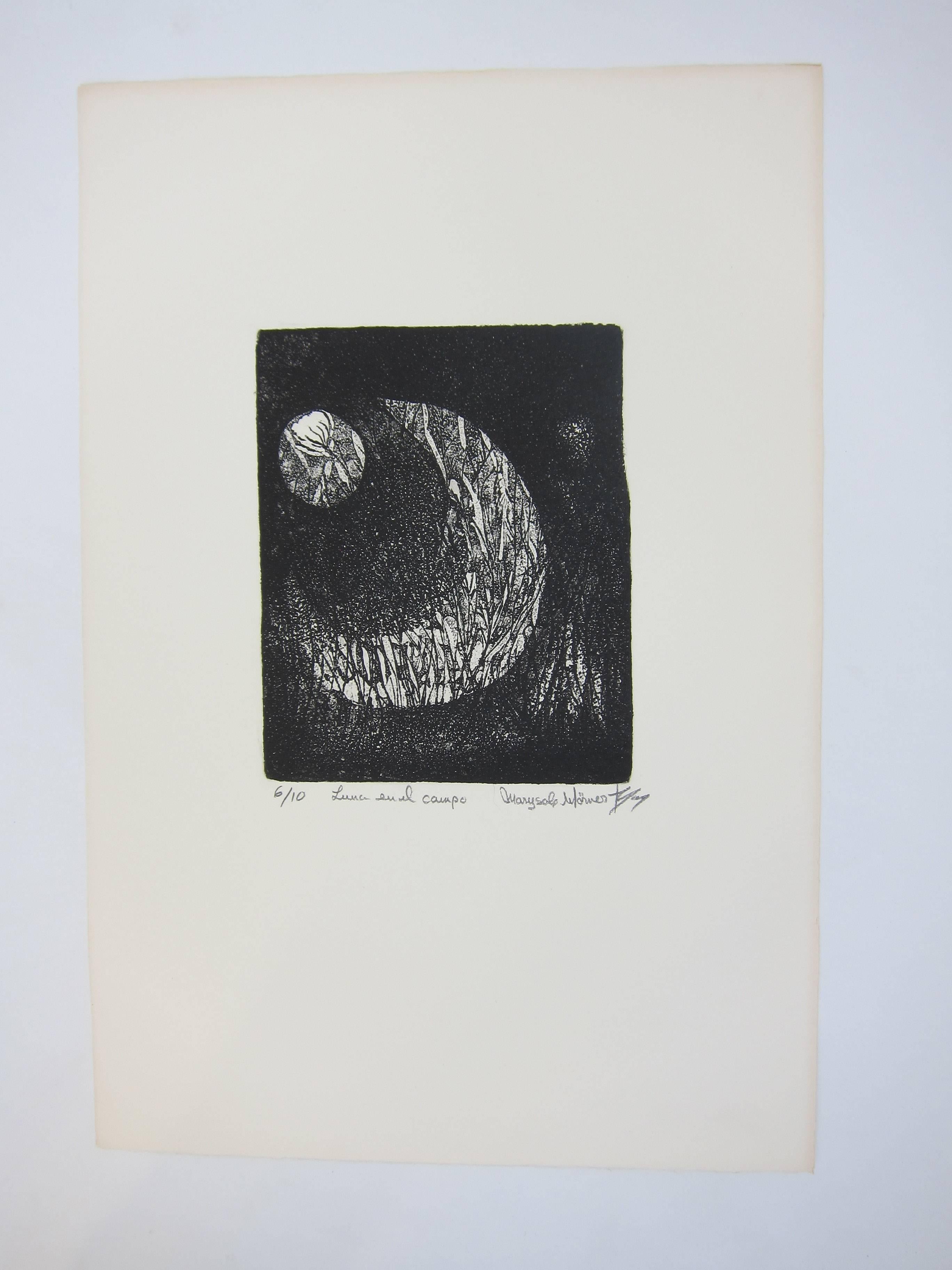 A special, extremely limited edition of ten engravings done between 1983-1985 by Marysole Worner Baz (Mexico City 1936 - Tepotzlan 2014). Worner Baz was an extraordinary talent who dominated different media (drawing, painting, sculpture, kinetic