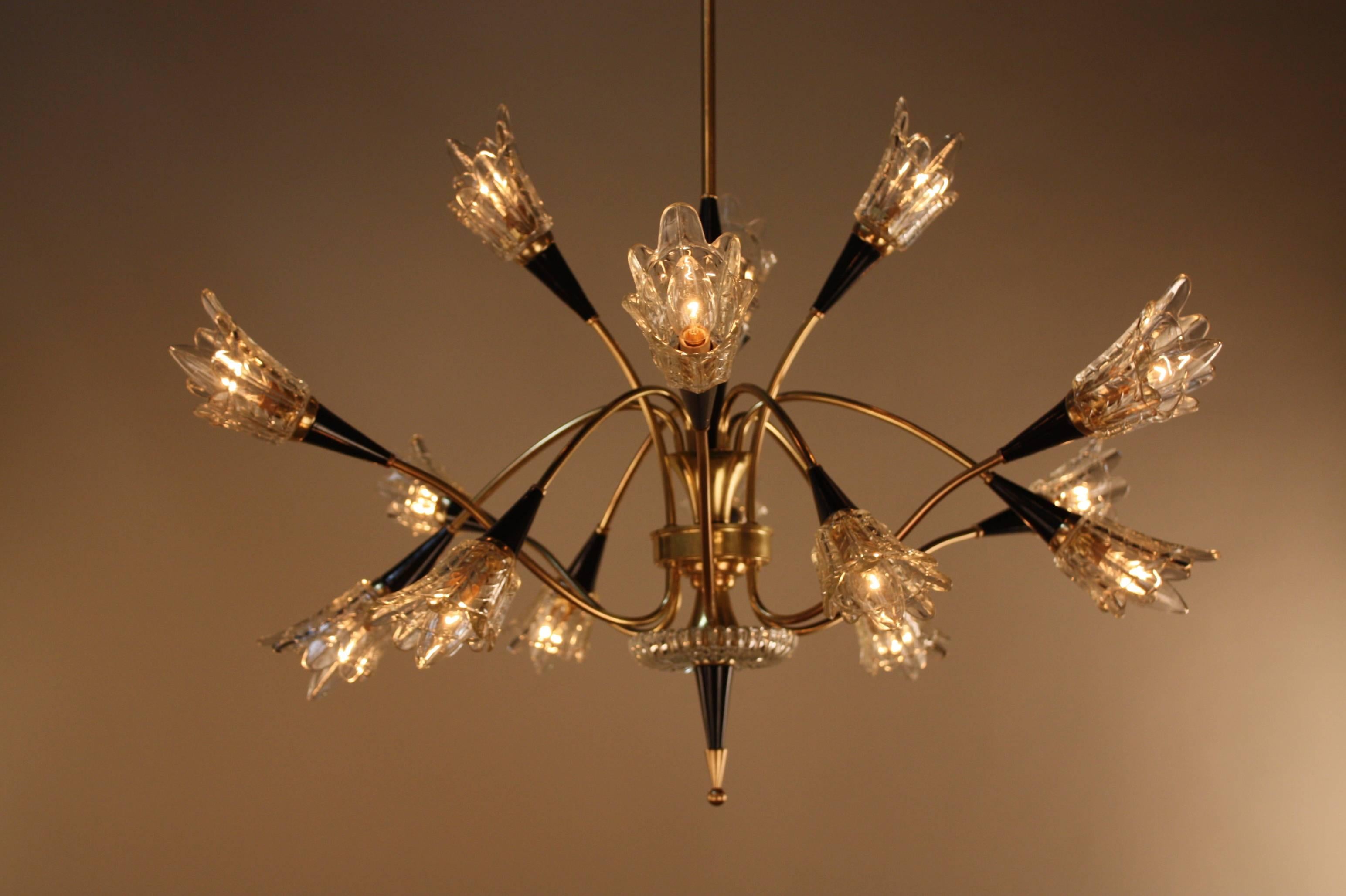 This French chandelier was made in the 1950s of bronze and black lacquer and glass. The lovely glass detail surrounding the bulb follows the star burst theme. Featuring 15 lights total, this piece will illuminate any room.
