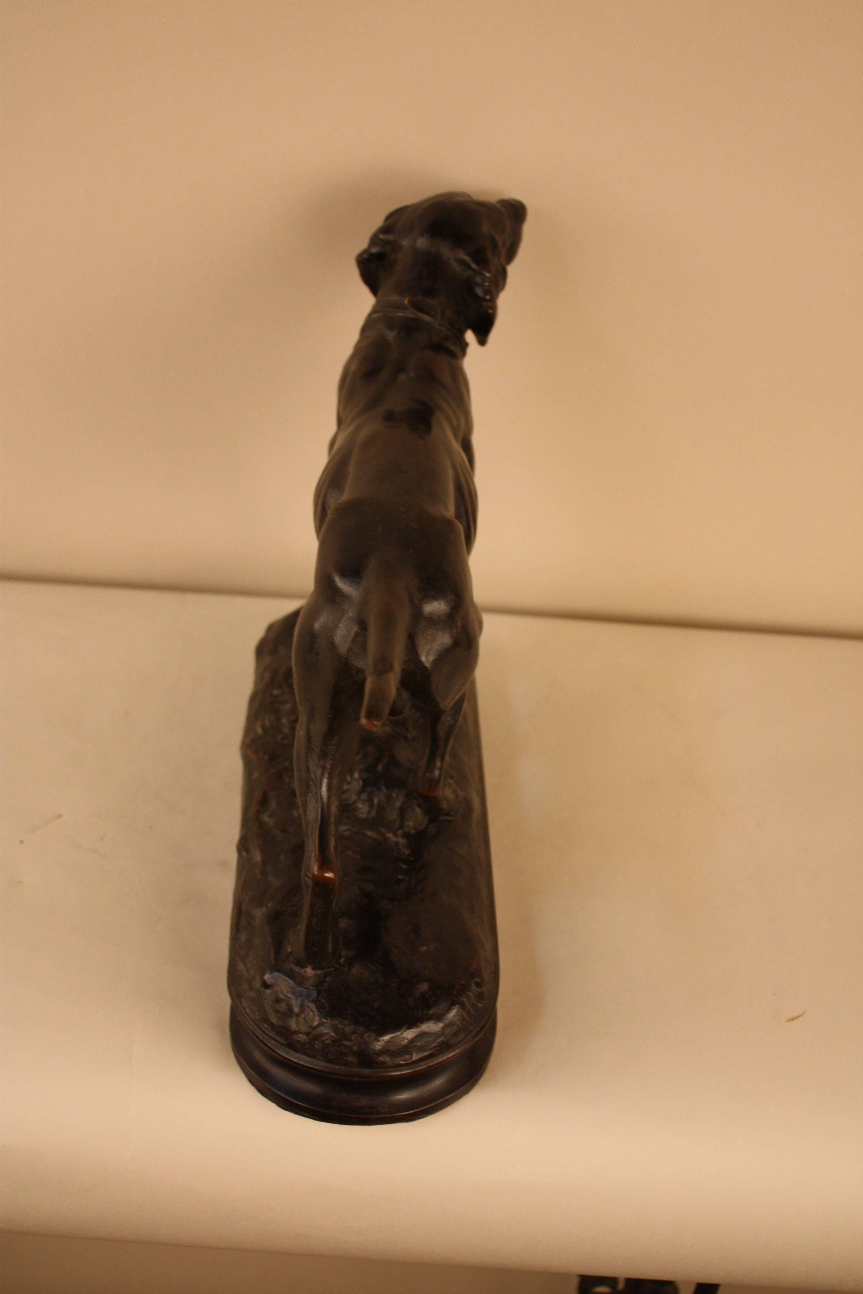 Bronze Sculpture of Hunting Dog by Alphonse Arson 3