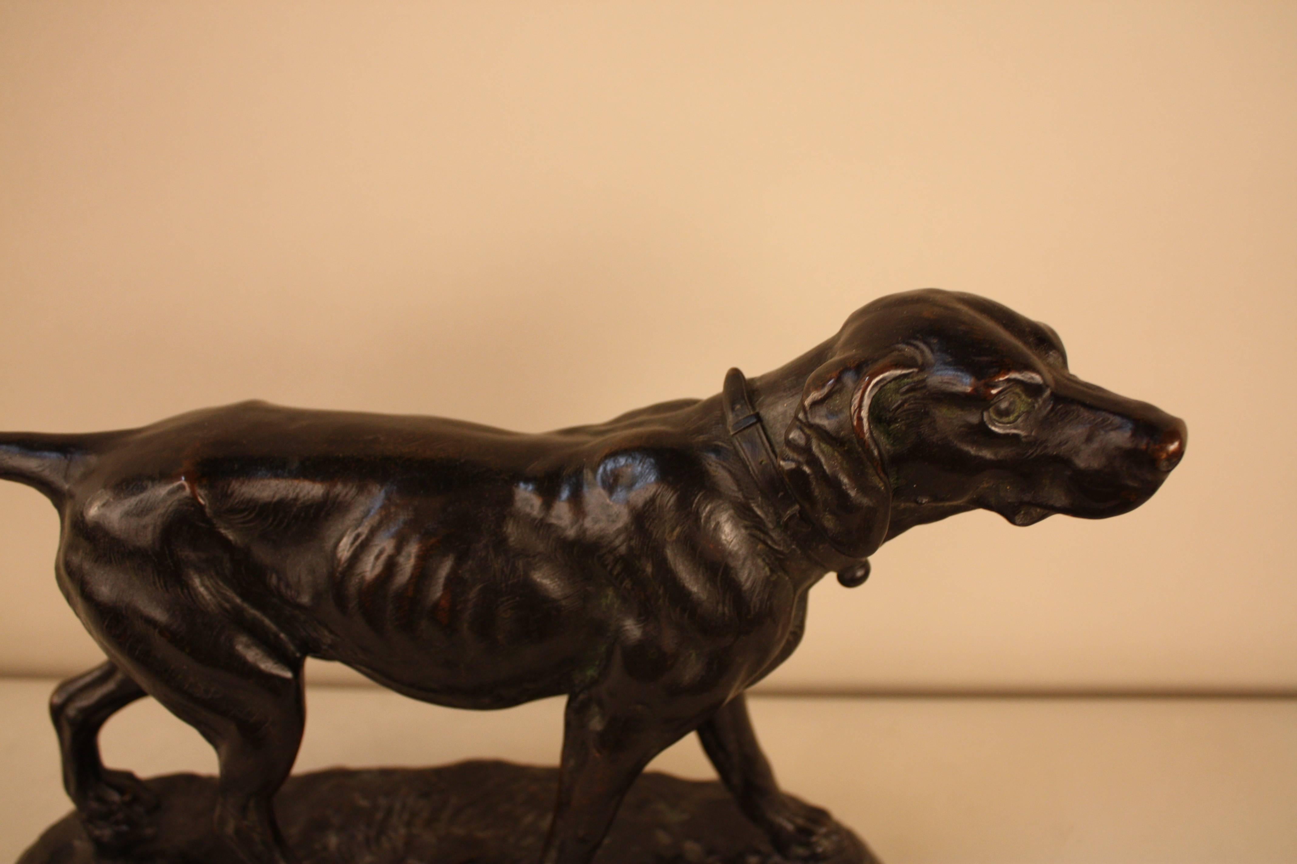 A Classic 19th century bronze sculpture of hunting dog in standing position by Alphonse Arson (1822-1882).
 