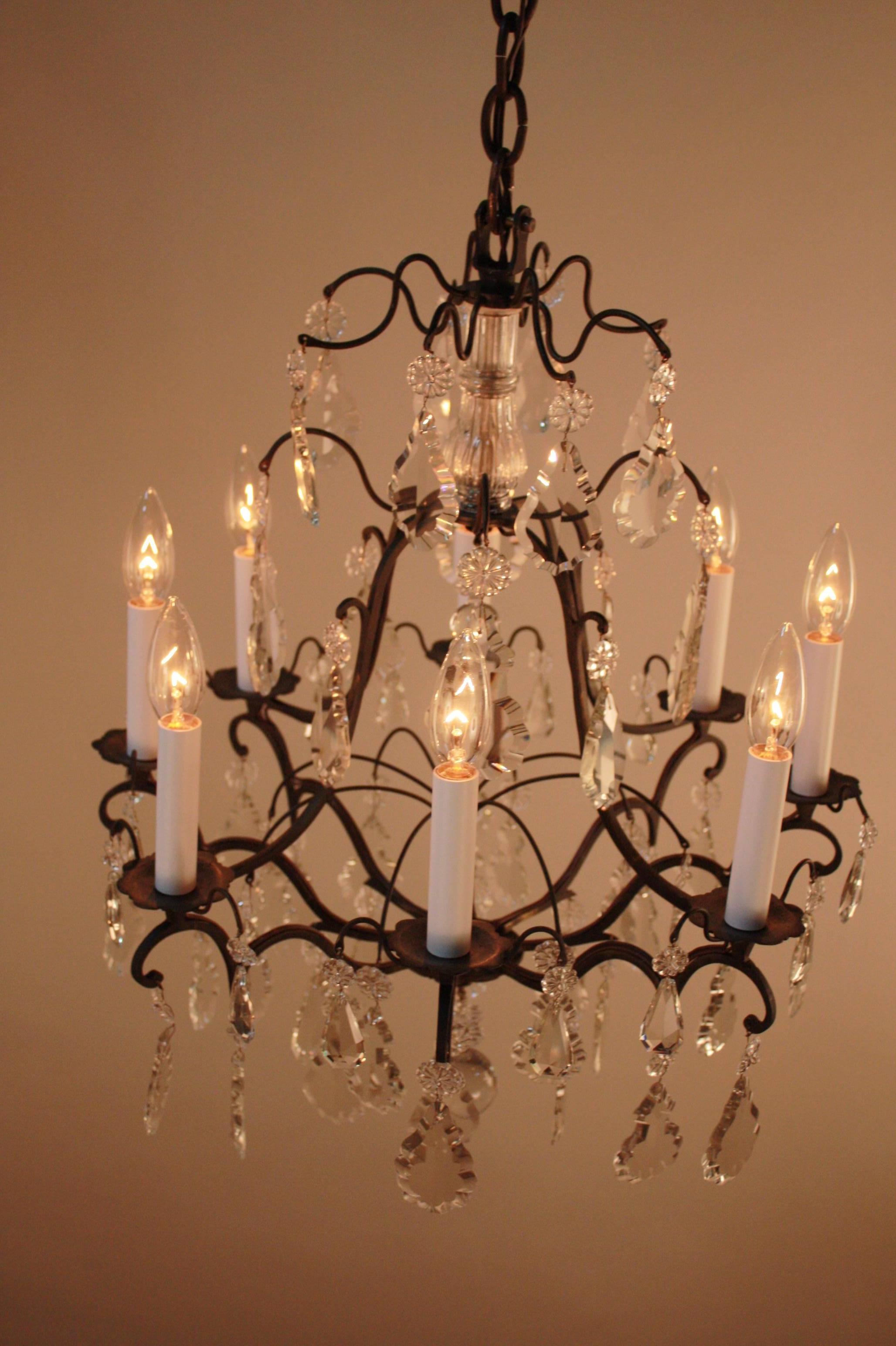 French Bronze and Crystal Chandelier 3