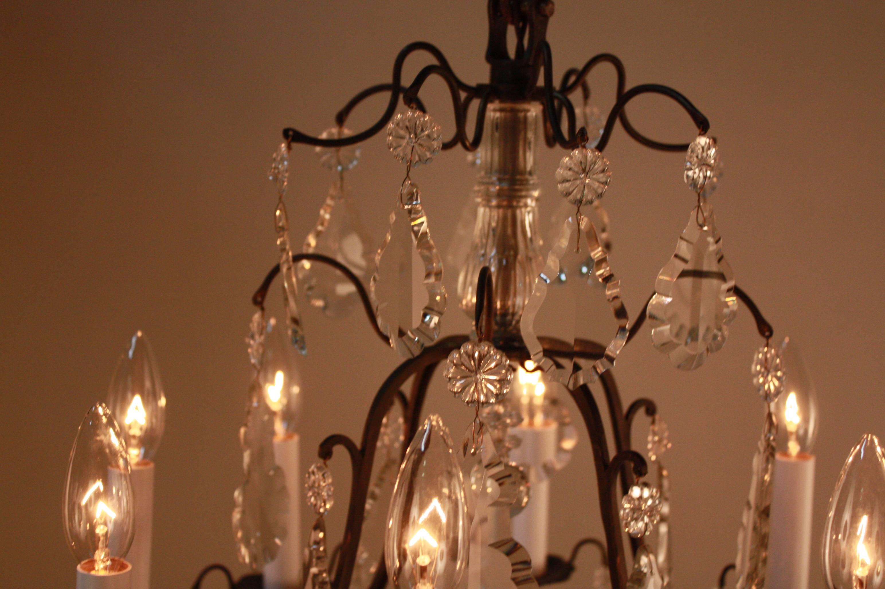 French Bronze and Crystal Chandelier 5