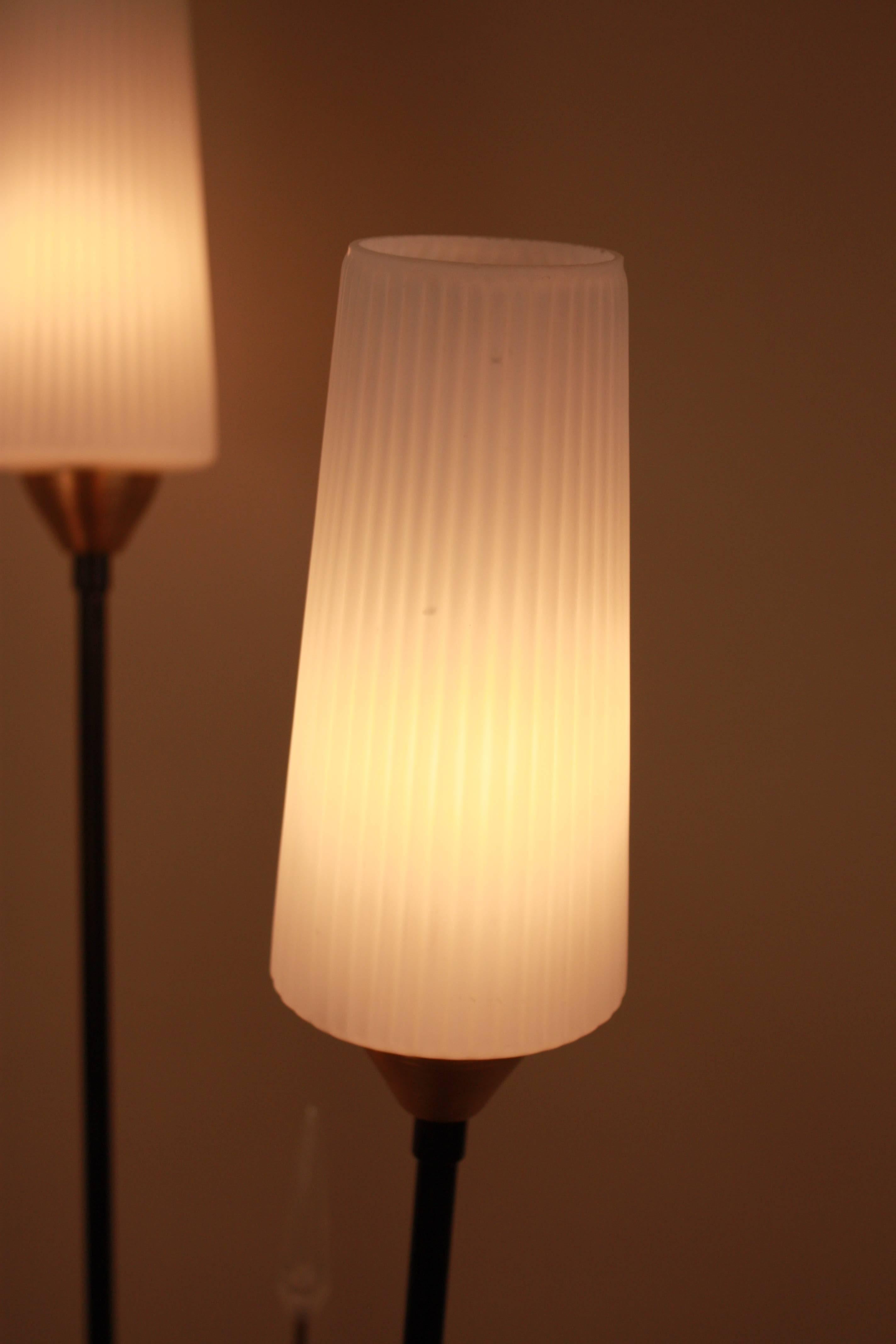 Mid-20th Century French Mid-Century Modern Floor Lamp