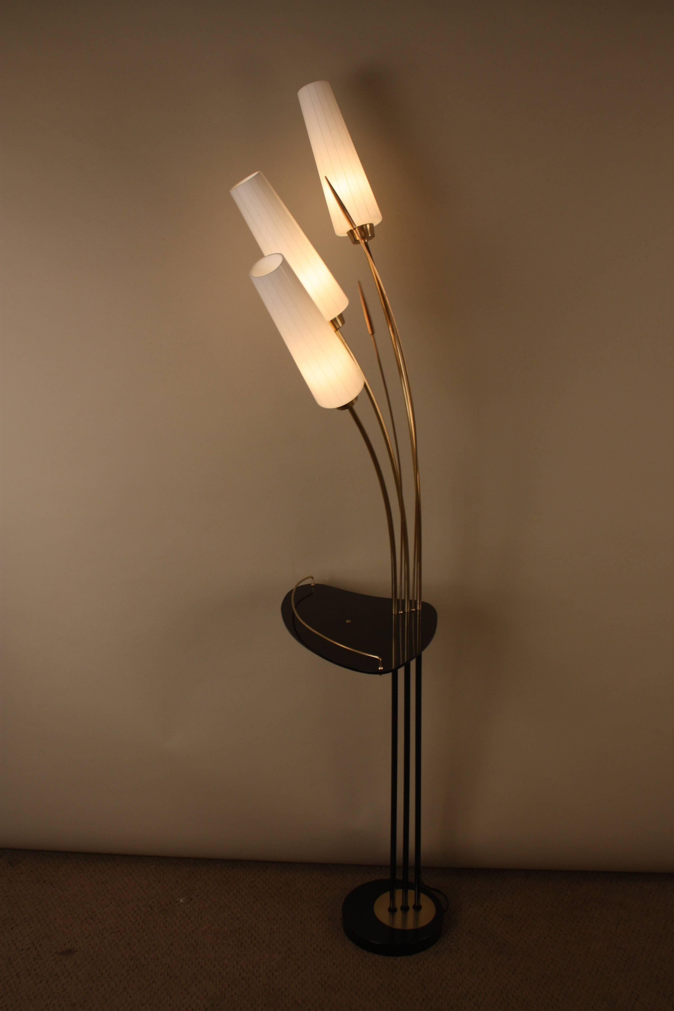 Midcentury French Floor Lamp 1