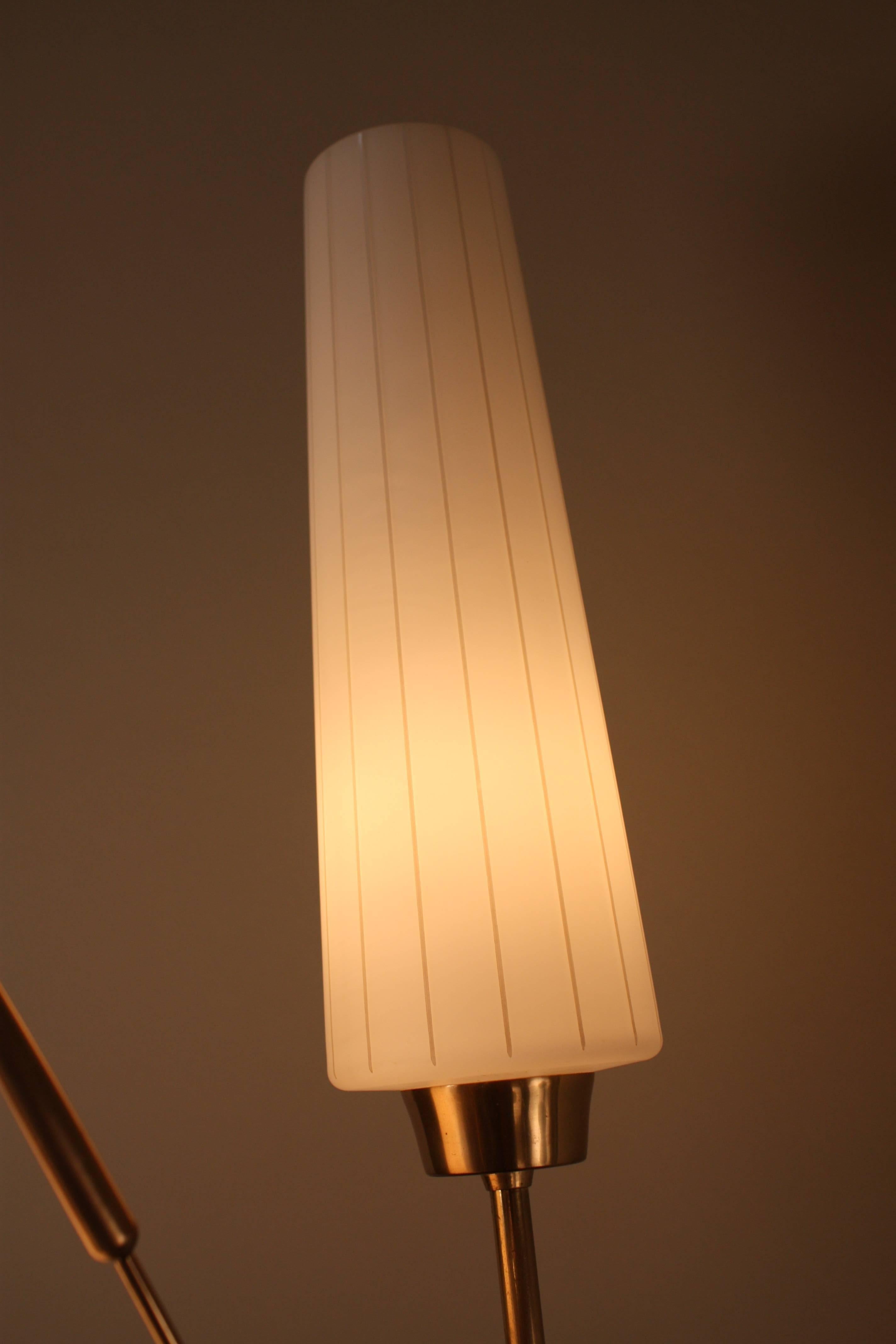 Midcentury French Floor Lamp 3