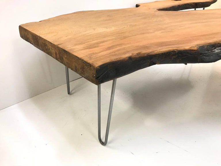 Large Organic Teak Live Edge Coffee Table For Sale at 1stdibs