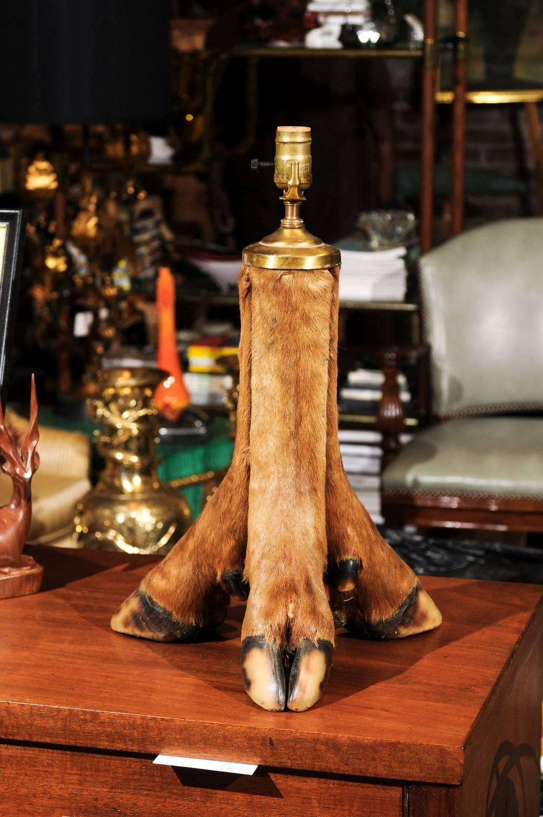 20th century French taxidermy elk hoof tripod lamp with brass fittings. The lamp has been rewired.