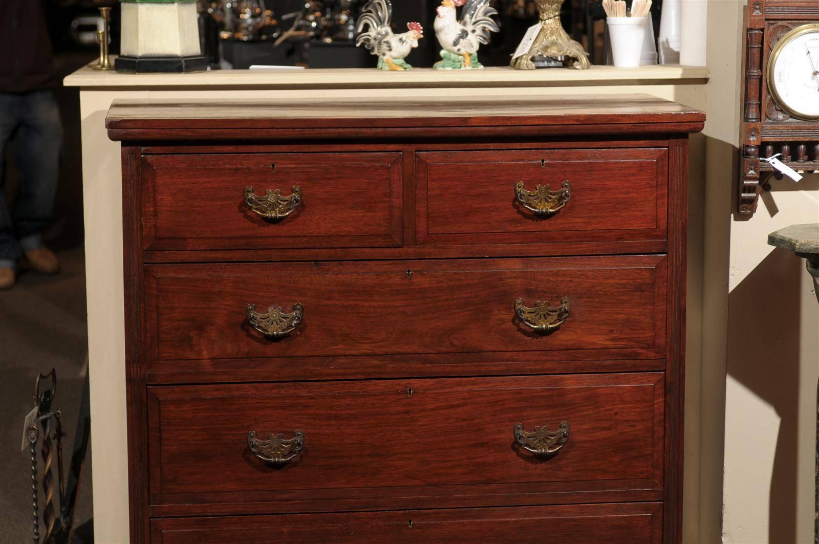 19th Century English Mahogany Chest 3