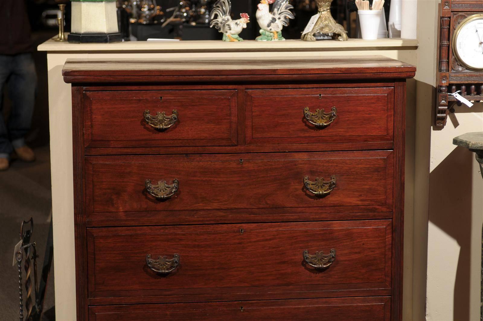 19th Century English Mahogany Chest  3