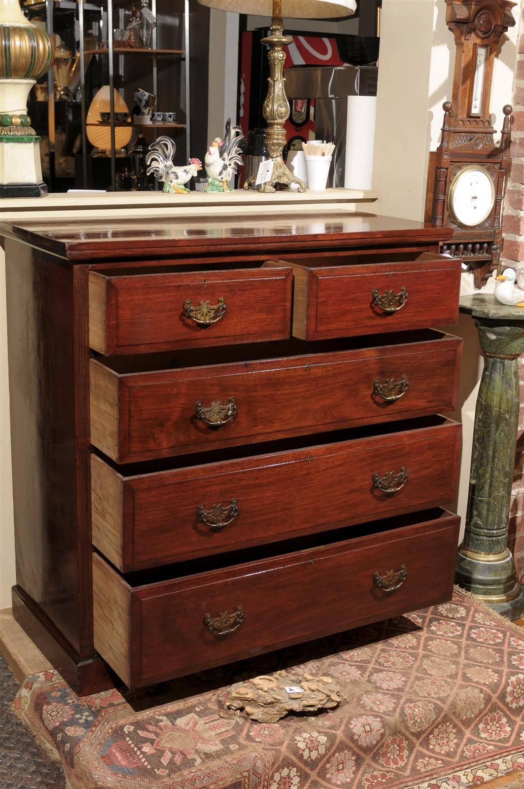 19th Century English Mahogany Chest  4