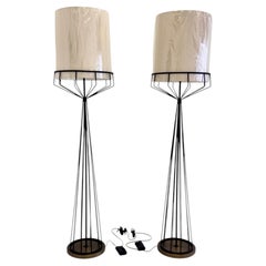 Tony Paul Floor Lamps: Black Metal & Brass Sculptural Design