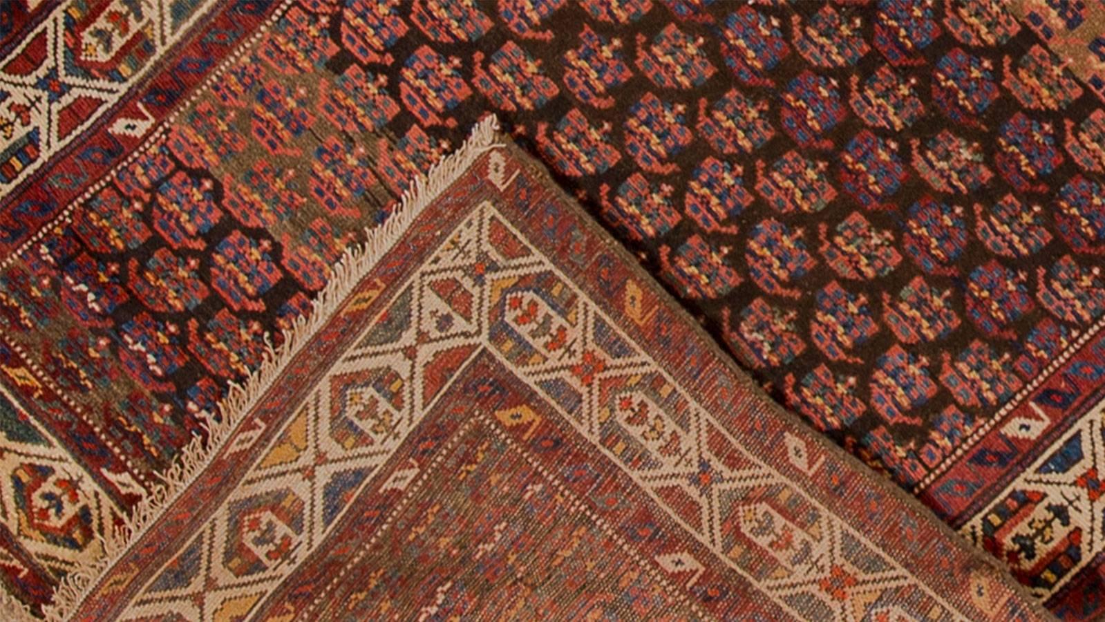 1905 antique Persian Kurd runner with a thin ivory/cream border, rust field and all-over geometric design. Measures 4x10.