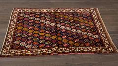 Beautifully Designed Collectible Shiraz Rug