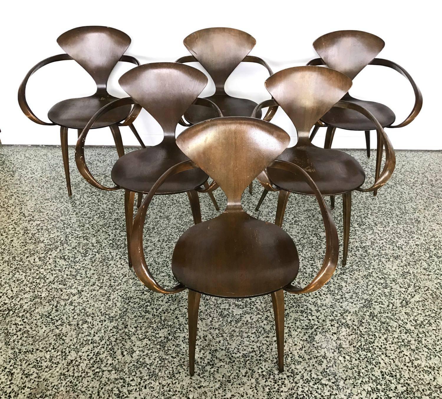 Six Walnut and Birch Vintage Cherner Armchairs for Plycraft 2