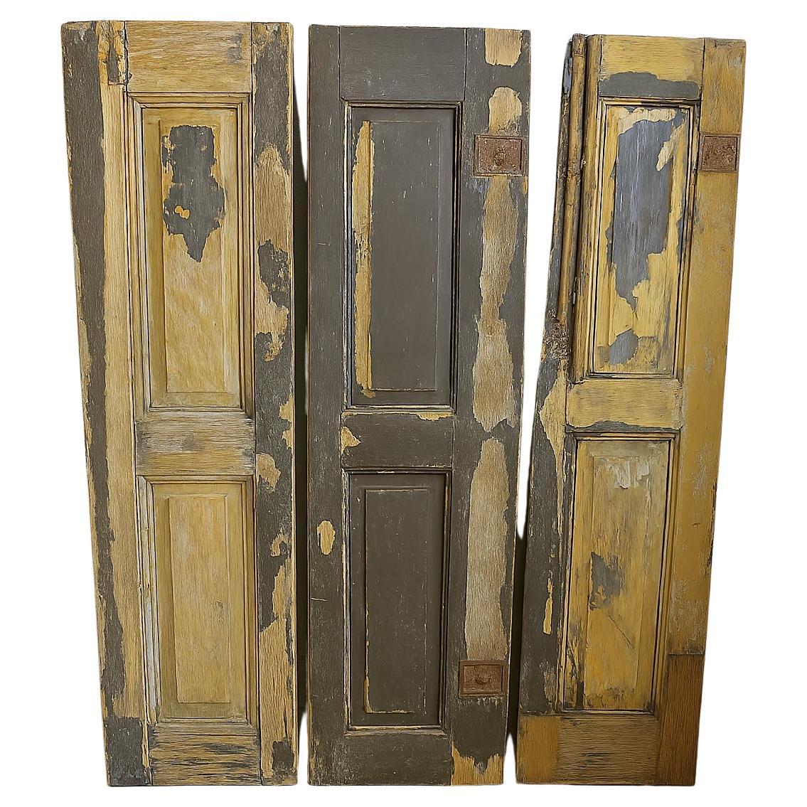 Set Of Beautiful Old Doors, 20th Century For Sale