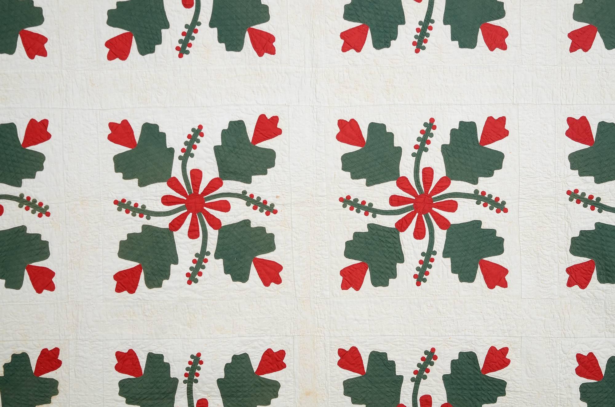 This Cockscomb and Currants (aka grapes and oak leaf) applique quilt is done with very Fine stitching. The quilting depicts patterns of ferns and a variety of leaves. The applique border beautifully repeats the arms of the primary blocks to create a
