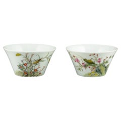 Chinese Porcelain Tea Cups Falangcai Enamel Insects Flowers Shende Tang 19c-20c