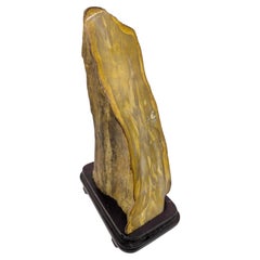 Chinese Petrified Wood Scholar’s Rock on Fitted Wood Stand, 20th Century