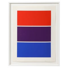 Framed Untitled Screen Print by Florence Arnold, United States, 1996