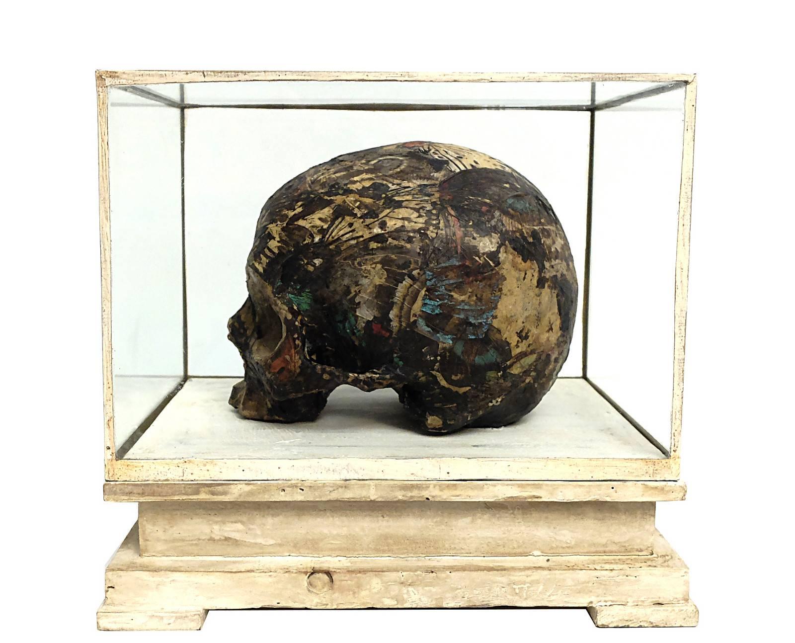An important and rare Italian Wunderkammer Memento Mori plaster sculpture, depicting a skull covered with natural specimen of butterflies wings. With the original show case made out of glass and white painted wood.
