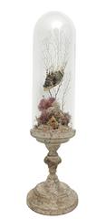 Rare Wunderkammer Natural Specimen, a Pair of Diorama with Decoy Fishes