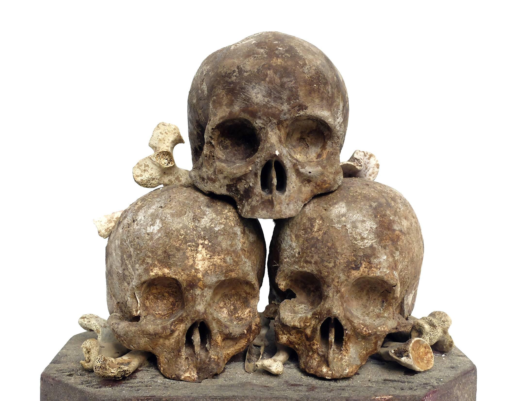 Early 19th Century Rare Wunderkammer Skulls Sculpture, Memento Mori