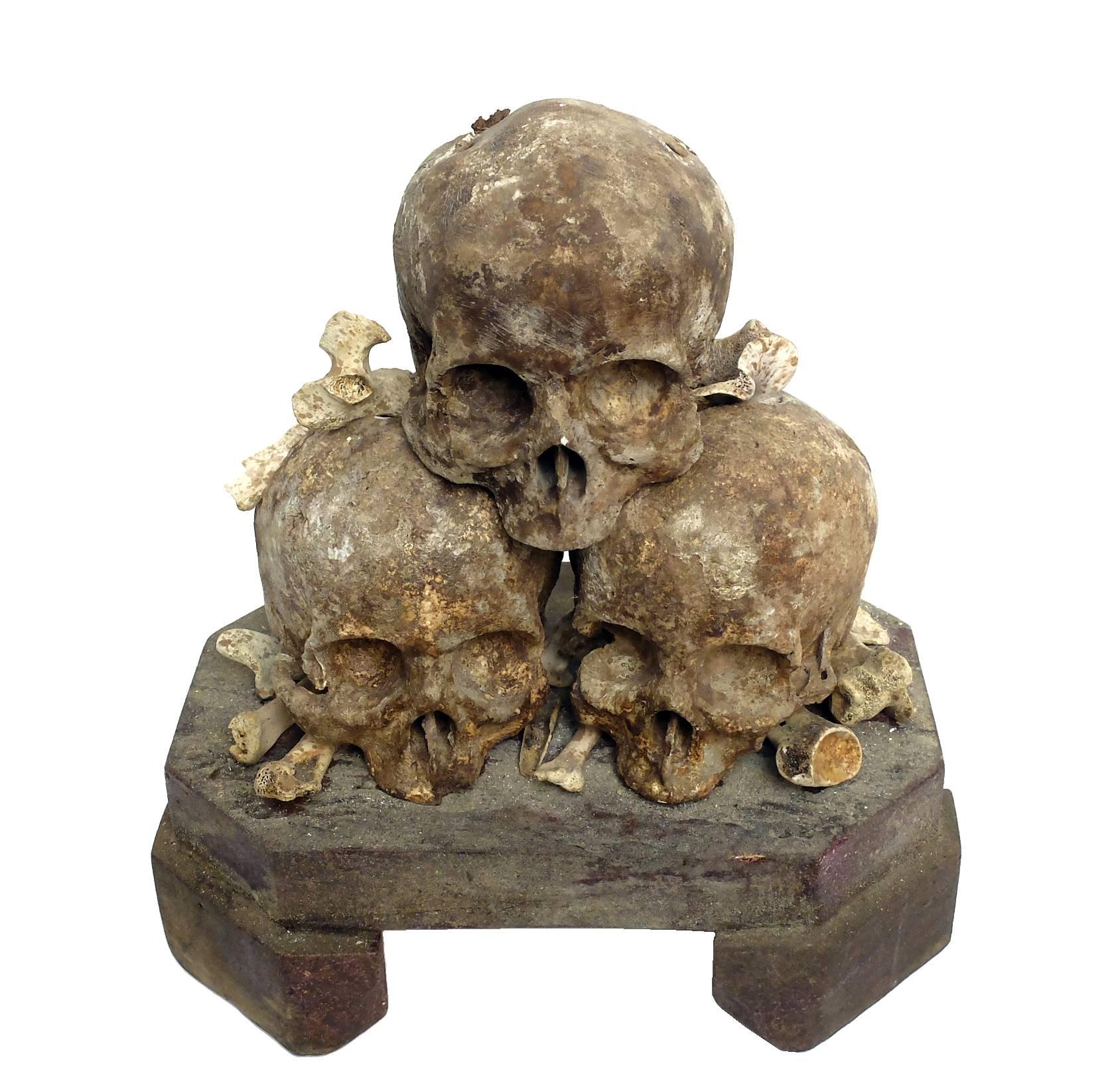 Plaster Rare Wunderkammer Skulls Sculpture, Memento Mori