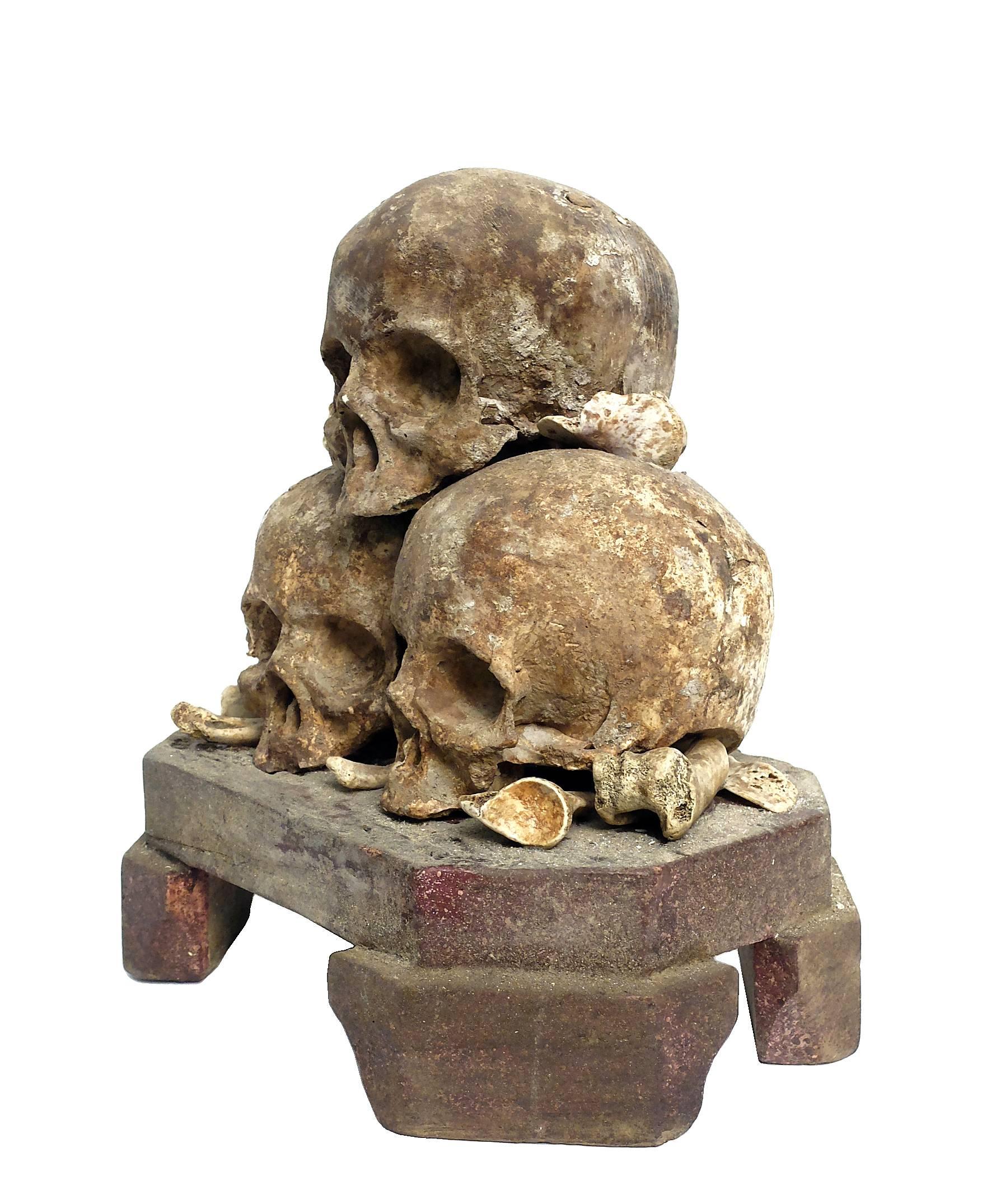 Rare Wunderkammer Skulls Sculpture, Memento Mori 1