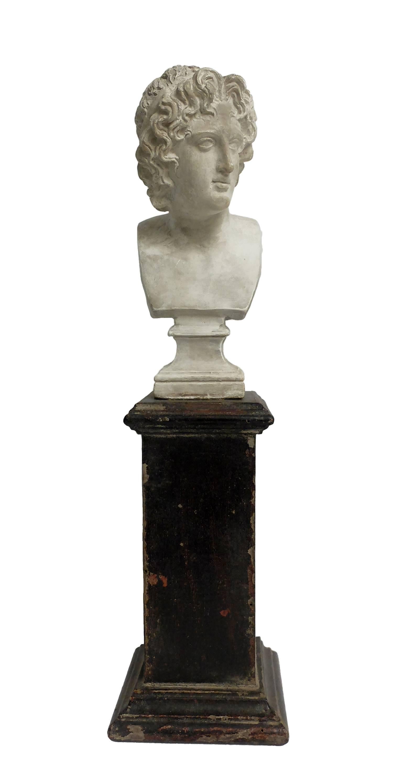 Above the plinths in black lacquered wood, shaped as square section column is set the academic cast of plaster of the busts of Lucius Verus and Alexander the great.
