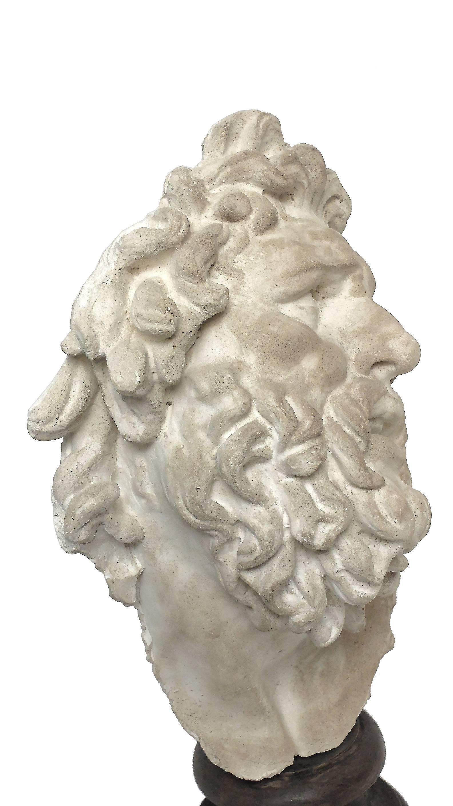 Italian Academic Cast of Plaster Depicting Laocoonte's Head