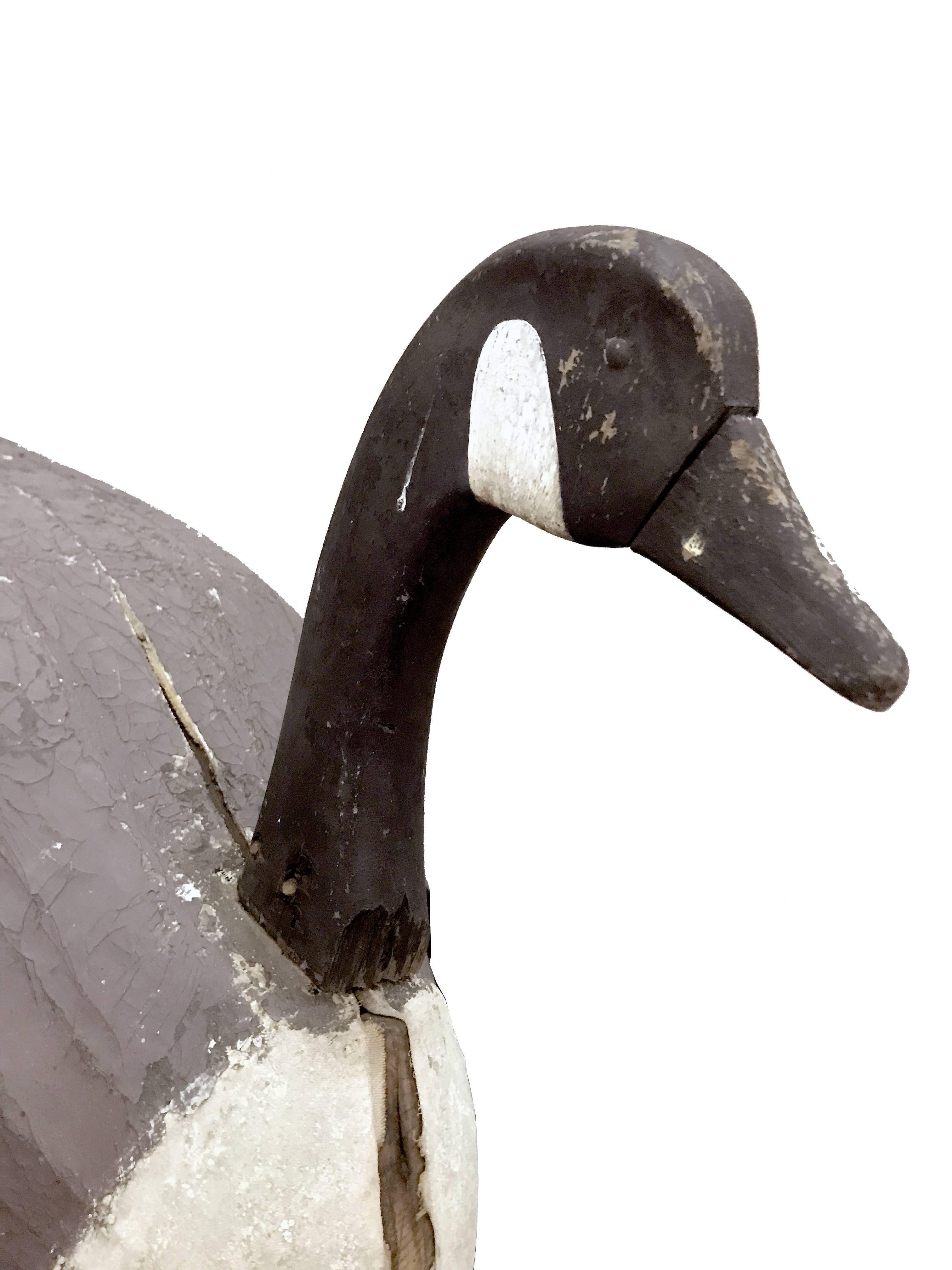 A generously sized decoy in a shape of goose, with body wooden framed and covered with painted canvas. Wooden neck and head.
USA, circa 1900.