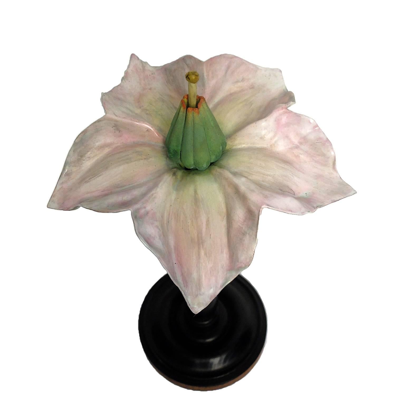 A rare botanic didactical specimen, depicting a Solanum Tuberosum flower pale orange color made out of papier mâché, plaster and wood hand-painted. Extremely detailed, Milan, Paravia, circa 1900