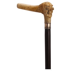 Antique Horne handle walking stick, France 1880. 