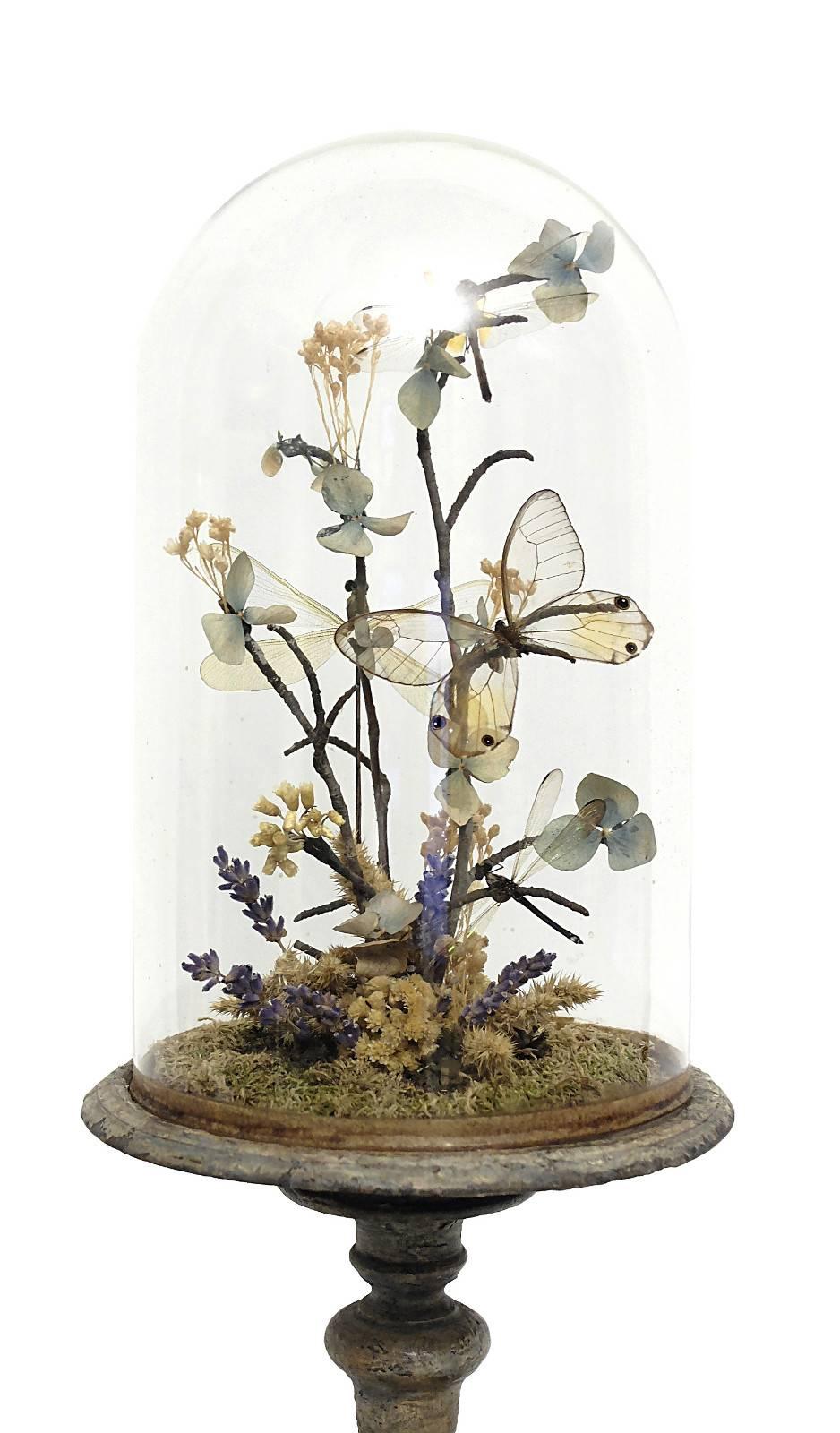 Late 19th Century Natural Wunderkammer Diorama with Butterflies and Flowers