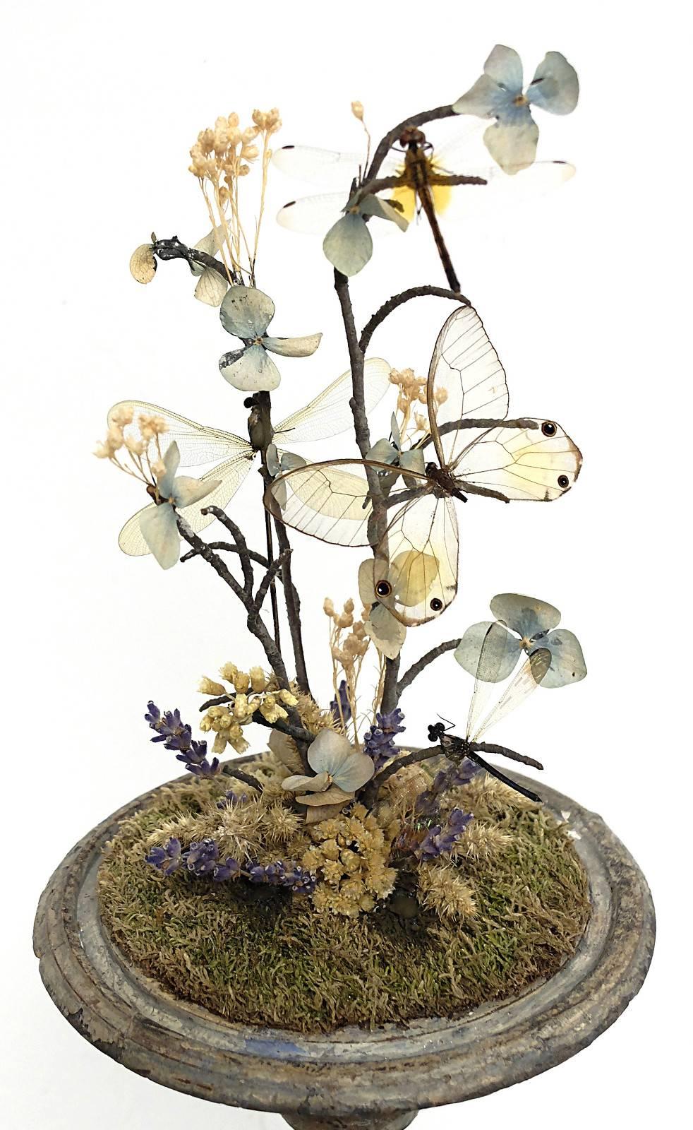 Natural Wunderkammer Diorama with Butterflies and Flowers 1