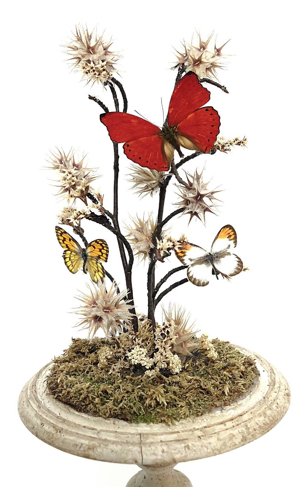 Natural Wunderkammer Diorama with Butterflies and Flowers In Good Condition In Milan, IT