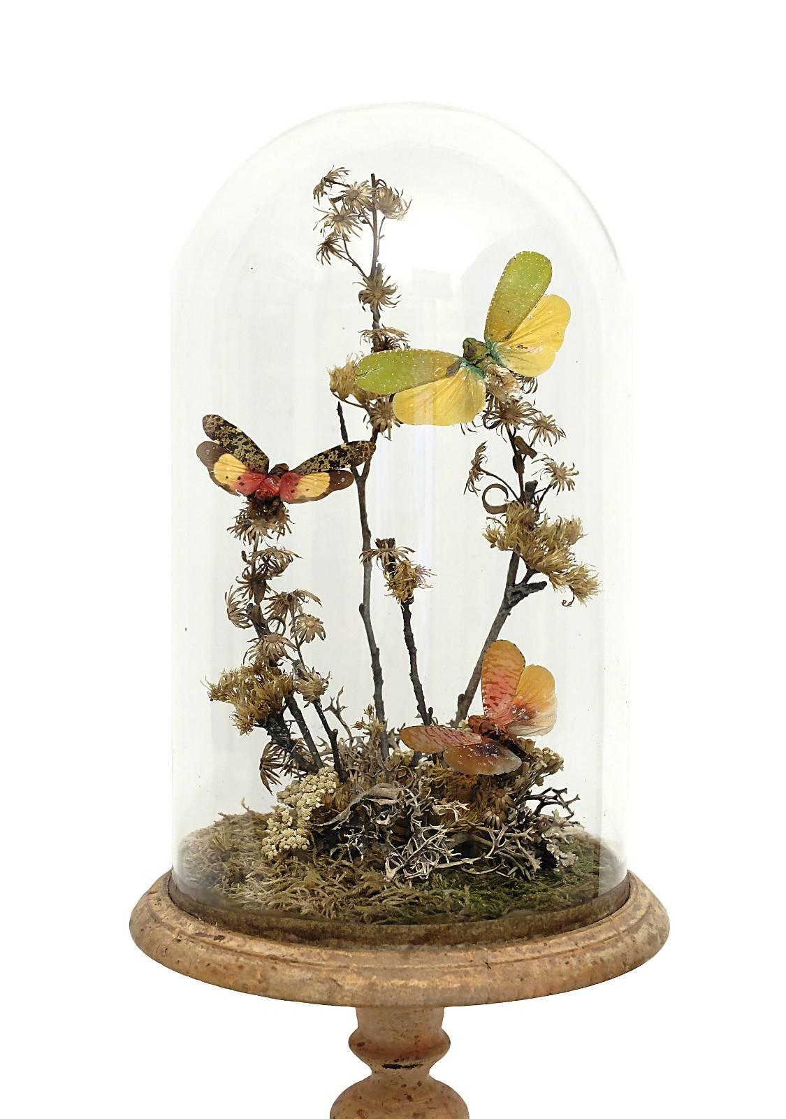 Natural Wunderkammer Diorama with Butterflies and Flowers 2