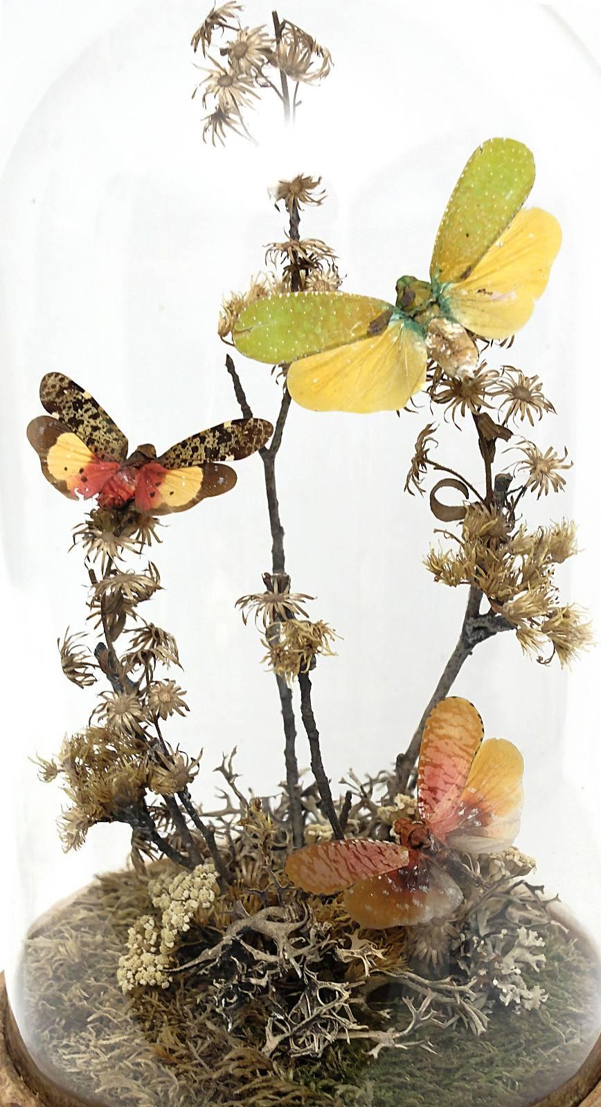 Natural Wunderkammer Diorama with Butterflies and Flowers 3