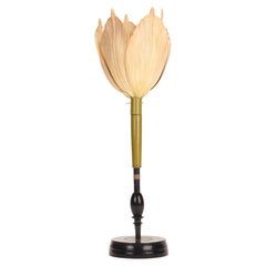 Ein botanisches Modell einer zartrosa Tulpe, Brendel, Deutschland 1880.