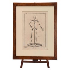 Print on paper depicting a dummy, Italy 1750-1800.